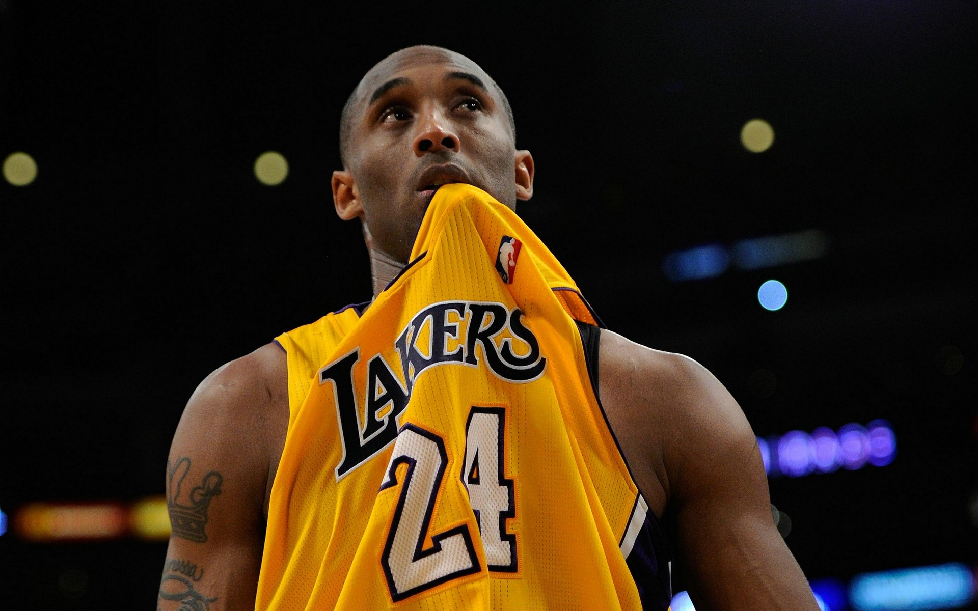 满足狼队的 满足狼队的